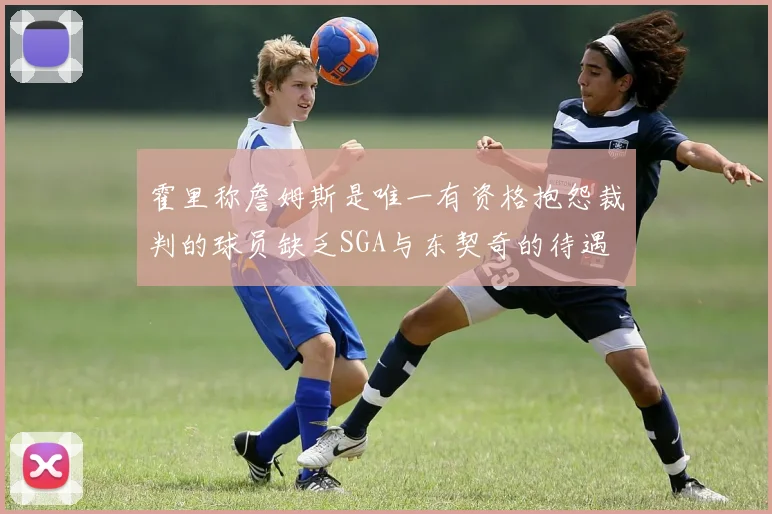霍里称詹姆斯是唯一有资格抱怨裁判的球员缺乏SGA与东契奇的待遇