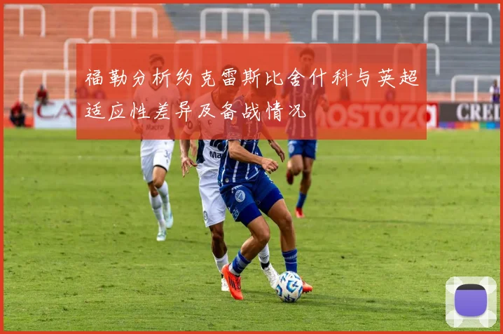 福勒分析约克雷斯比舍什科与英超适应性差异及备战情况