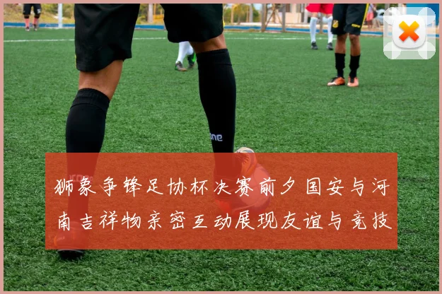 狮象争锋足协杯决赛前夕国安与河南吉祥物亲密互动展现友谊与竞技精神