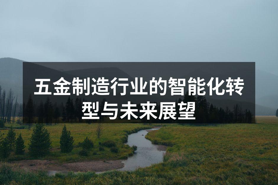 五金制造行业的智能化转型与未来展望