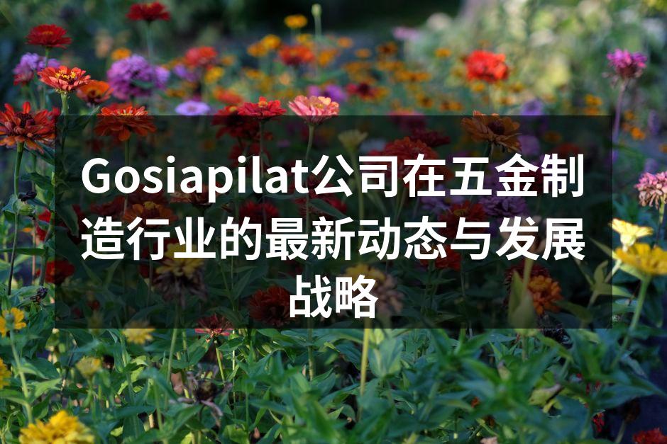 Gosiapilat公司在五金制造行业的最新动态与发展战略